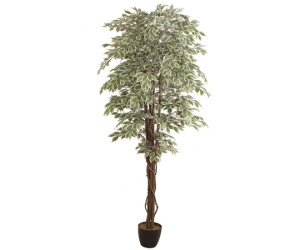 Mākslīgais augs FICUS 2.40m Mākslīgais augs FICUS 2.40m